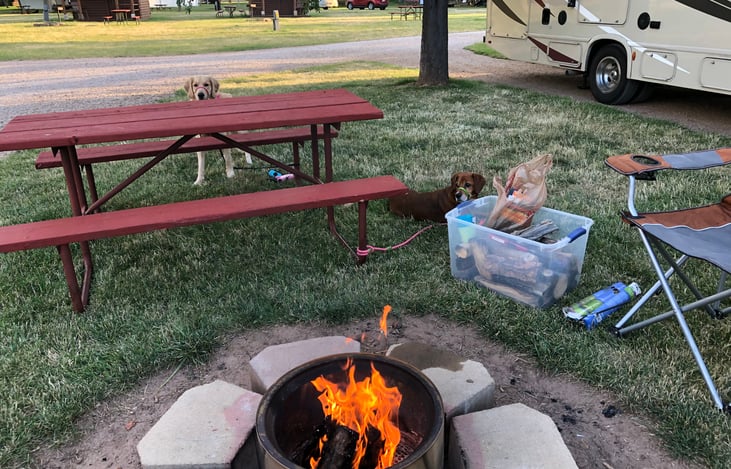 We provide firewood, camping chairs, mosquito repellent, and a 14' x 14' outdoor screen house (to keep the bugs out).