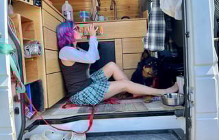 Odie The HighRoof Sprinter