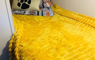 2017 Forest River RV Salem Cruise Lite 191RDXL