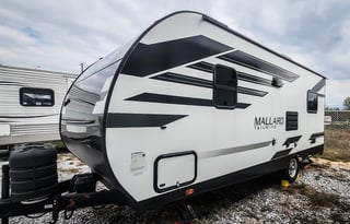 Peace of Mind Mallard Tailwind