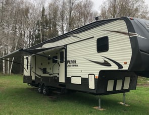 Palomino Puma Unleashed 373-QSI