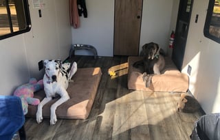 Dog Approved Toy Hauler RV