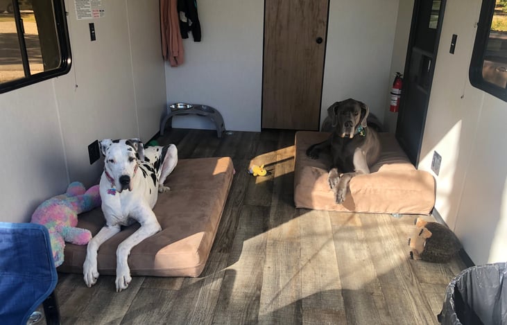 We can also remove the bunks, to make this the dog room! 🐶