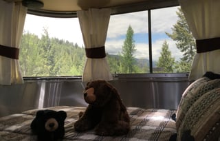 Airstream Luxury Our Place or We Deliver Anywhere!