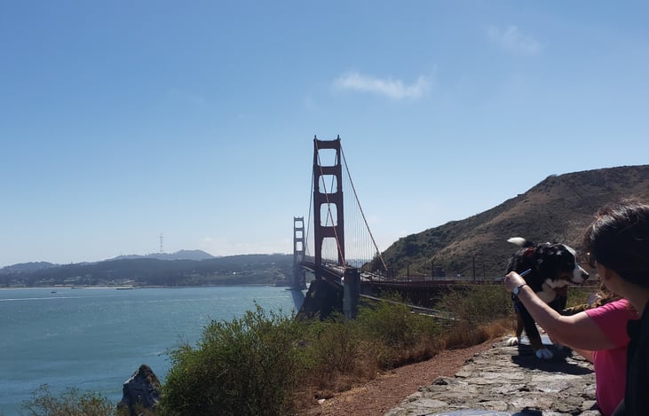 Golden Gate Bridge  9/2024