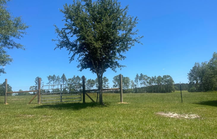 On site rental only pasture view.