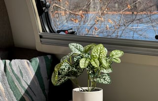 Cozy & Easy Towing NuCamp Tab 400