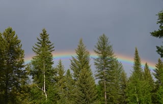 Stationary Cute Camper & FHU Space near Glacier NP