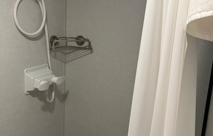 Shampoo caddy