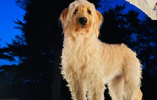 "ALANI"  is a 2017 Jayco Jay Flight