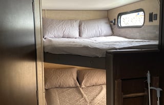 Journie’s Cruiser delivered to you!