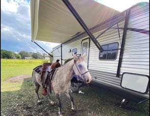 Jayco JAY FLIGHT SLX 8