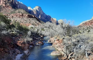 4WD REVEL "Rosie" UNLIMITED MILES Mighty 5 & More!