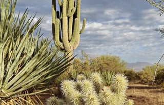 2016 Winnebago Minnie Winnie 31H