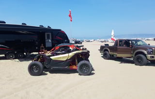 Fun Fun Fun in the Sun