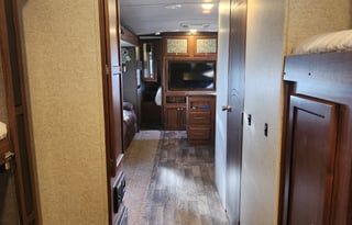 Take flight with the Mighty Mallard!