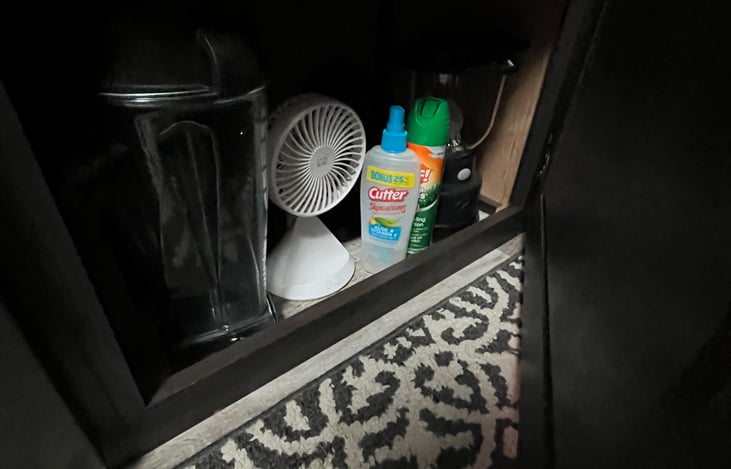 Vitamix, flashlights and mini fans if it gets too hot