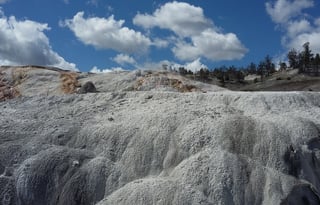 4WD All-Season "Rosie" UNLIMITED MILES + Starlink