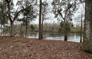 Suwannee River Reelaxtion Retreat