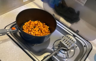 Vincent Van Go - Leisure Travel Van Serenity