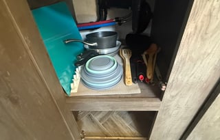 Say Hello to the Wildwood Wonder!