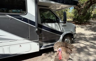 "Rebecca" - The Perfect Sun Seeker!