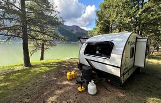 Adventure With Frizz!