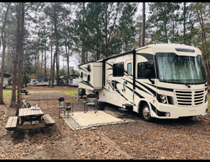 Forest River RV FR3 32DS