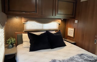 SWEET SOUTHERN FREEDOM