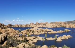 4WD All-Season "Judy" UNLIMITED MILES + Starlink