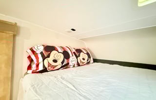 Luna the Leprechaun -2021 Coachmen RV Leprechaun