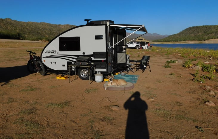 Pongo loving his time, camping.