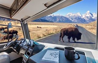 Luxury 2021 Coachmen Mirada Can Sleep up to 7 adults or 8 with kids.