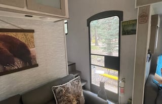 Emil and Della's Pet Friendly Posh Pad, #2