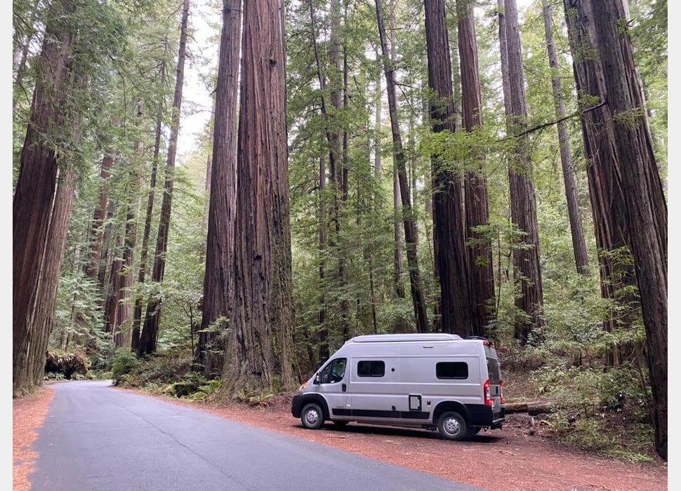 Class B Camping Van rentals in SANTA MARIA