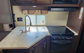 Delivered - Forest River Family Fun w/ Bunks