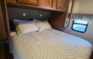 Take flight with the Mighty Mallard!