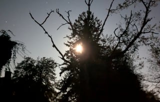 2025 nuCamp RV TAB 320 Boondock