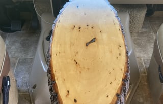 Mikren - Designed with  Your Pets in Mind!