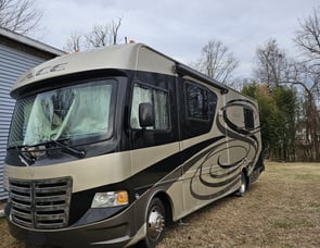 Thor Motor Coach ACE 29 1