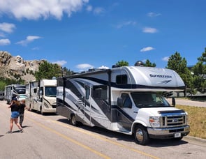 Forest River RV Sunseeker 3050S Ford