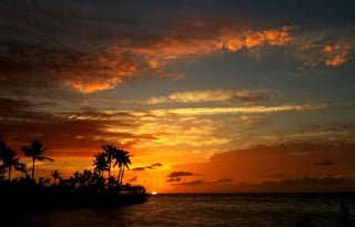 The Refuge ~ Stationary or Delivery in the FL Keys