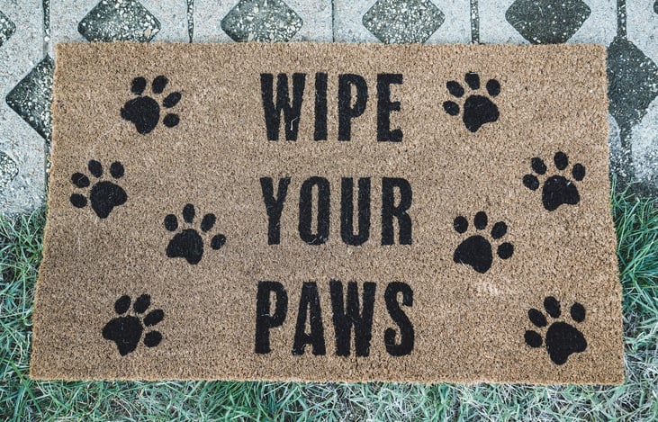 And last but never-ever least...all paws are welcome.  Unless it's a mountain lion, or a bear.  ; )