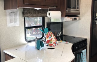 2018 Deluxe Forest River Forester 2501TS - "Sadie"