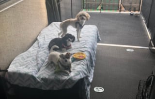 2017 Thor Motor Coach RB