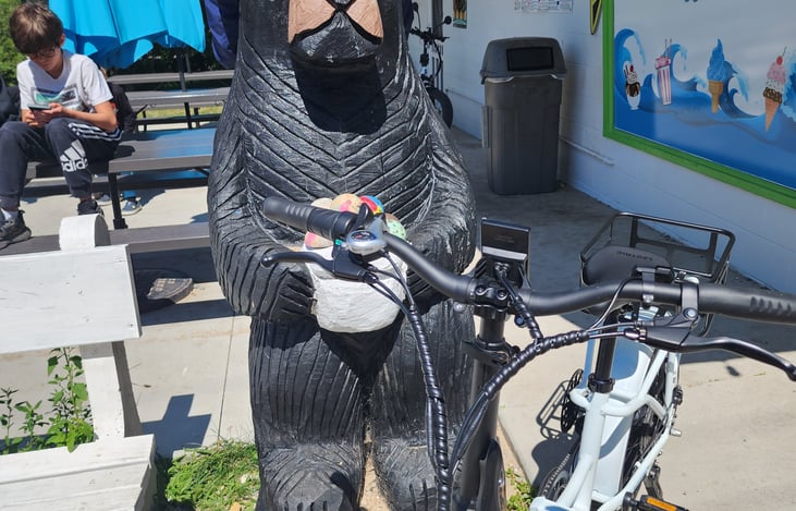 E-Bike Rentals make adventures even more fun!