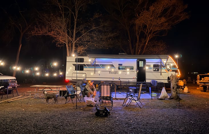 Outdoor lights and dog fence come with!