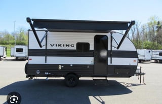 Viking saga