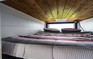 Forest- 2019 Ford Transit Campervan