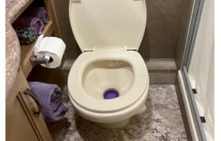 2020 Thor Motor Coach 30D At Tigerbunny Acres Farm